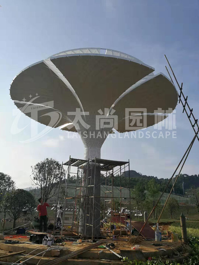 z6com������ʱ(�й���)�ٷ���վ